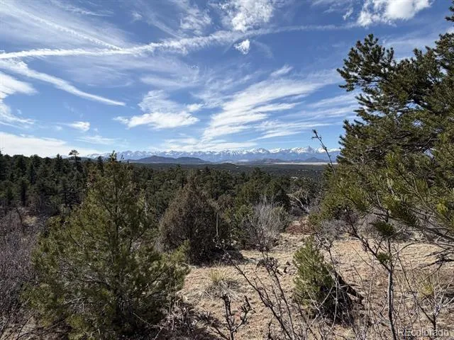 000 Redtail Trail Texas Creek, CO 81223