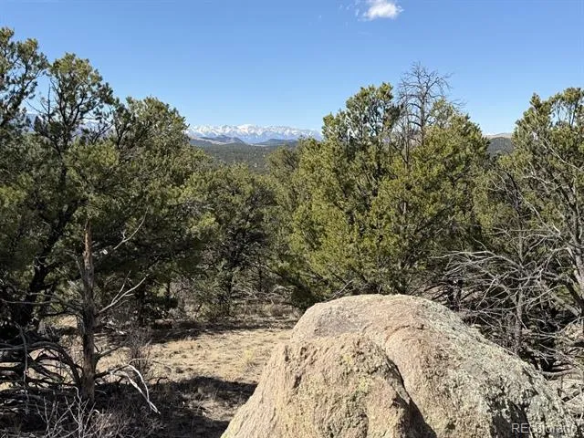 000 Redtail Trail Texas Creek, CO 81223