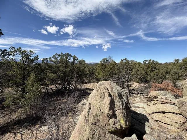 000 Redtail Trail Texas Creek, CO 81223