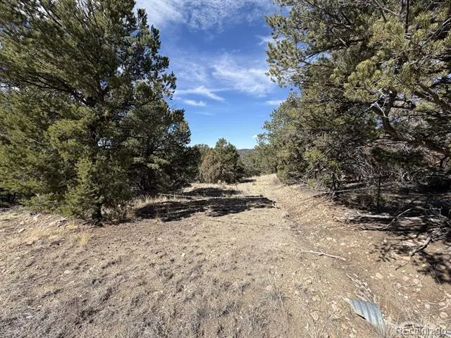 000 Redtail Trail Texas Creek, CO 81223