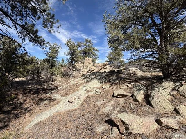 000 Redtail Trail Texas Creek, CO 81223