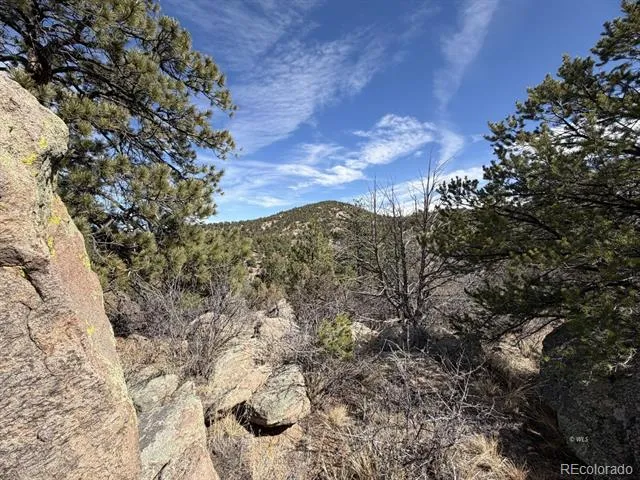 000 Redtail Trail Texas Creek, CO 81223