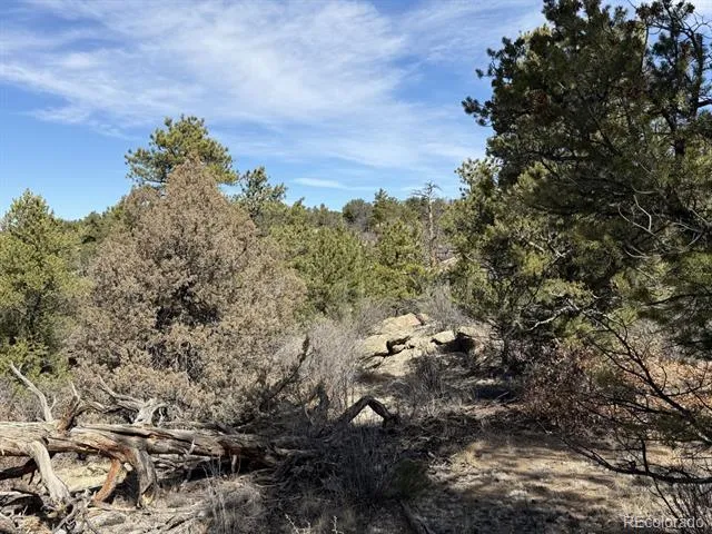 000 Redtail Trail Texas Creek, CO 81223