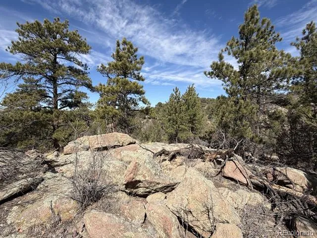 000 Redtail Trail Texas Creek, CO 81223