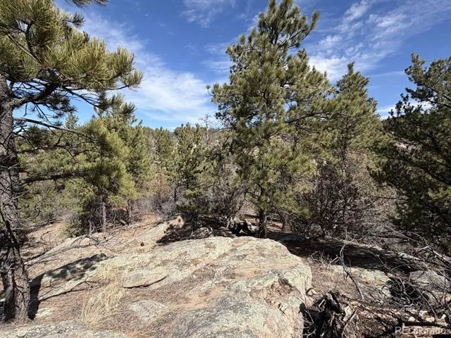 000 Redtail Trail Texas Creek, CO 81223