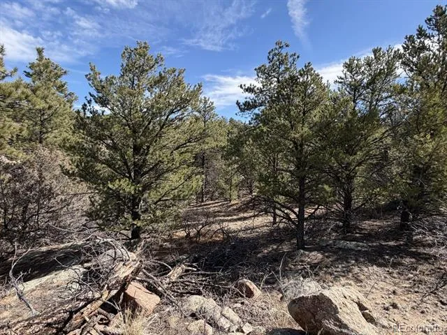 000 Redtail Trail Texas Creek, CO 81223