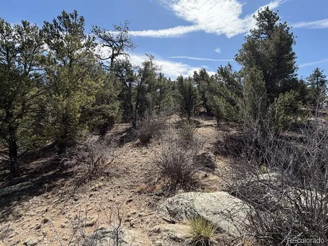 000 Redtail Trail Texas Creek, CO 81223