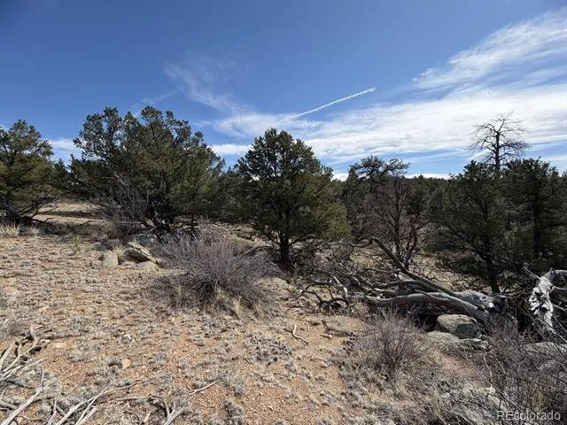 000 Redtail Trail Texas Creek, CO 81223