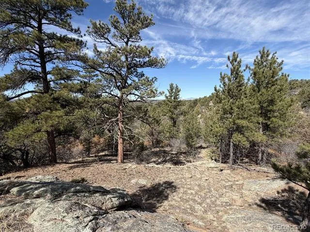 000 Redtail Trail Texas Creek, CO 81223