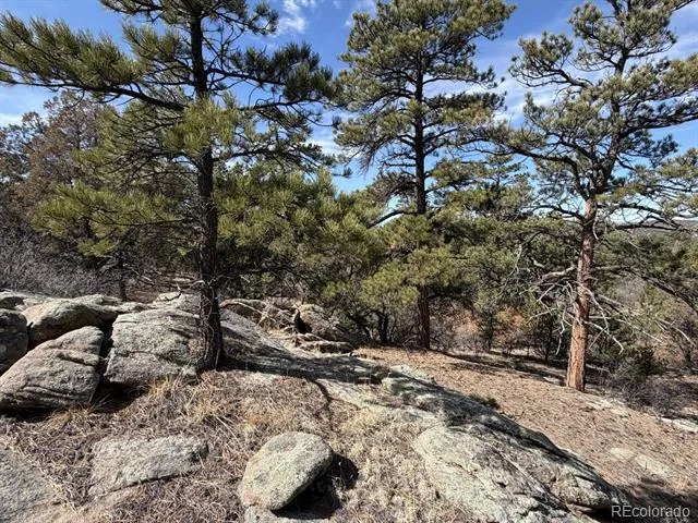 000 Redtail Trail Texas Creek, CO 81223