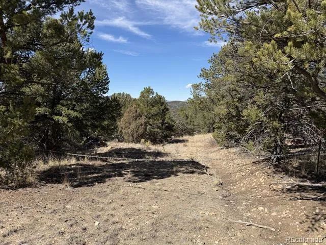 000 Redtail Trail Texas Creek, CO 81223