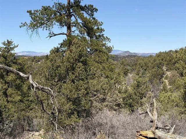 000 Redtail Trail Texas Creek, CO 81223