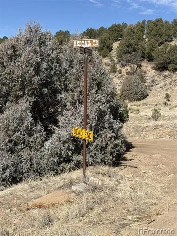 000 Redtail Trail Texas Creek, CO 81223