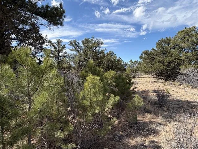 000 Redtail Trail Texas Creek, CO 81223