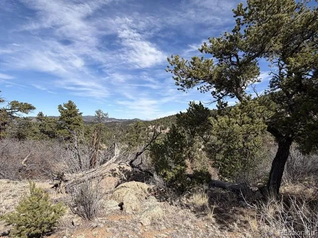 000 Redtail Trail Texas Creek, CO 81223