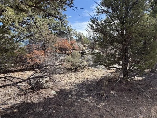 000 Redtail Trail Texas Creek, CO 81223