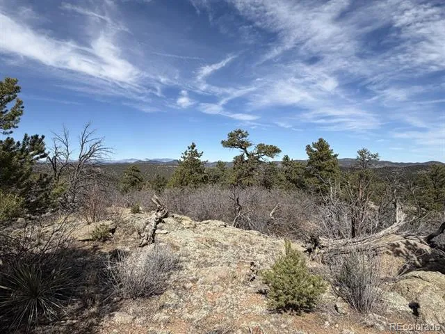 000 Redtail Trail Texas Creek, CO 81223