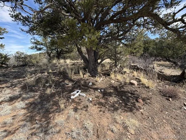 000 Redtail Trail Texas Creek, CO 81223