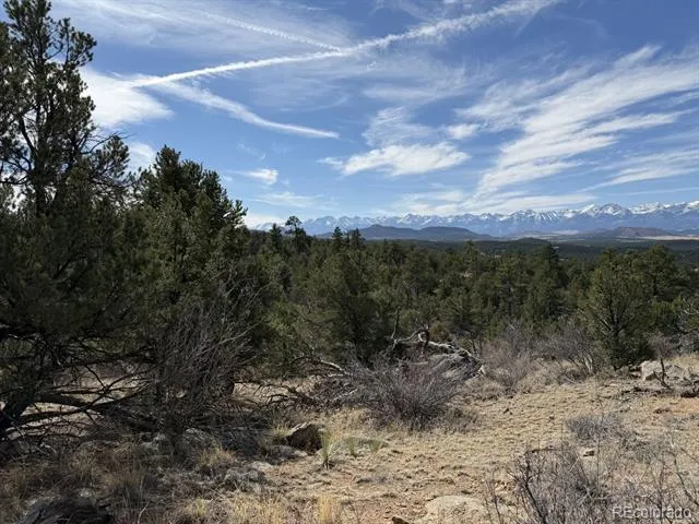 000 Redtail Trail Texas Creek, CO 81223