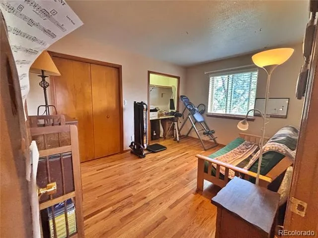 17 Silver Springs Road Bailey, CO 80421