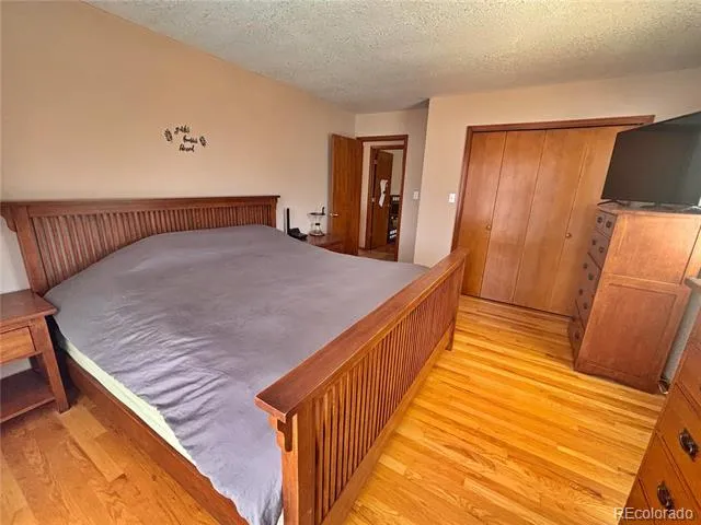 17 Silver Springs Road Bailey, CO 80421