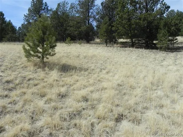 1058 Monarch Drive Cripple Creek, CO 80813