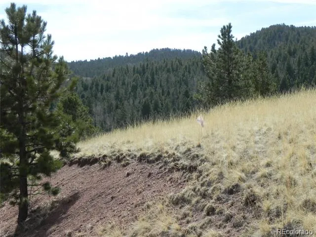 1058 Monarch Drive Cripple Creek, CO 80813