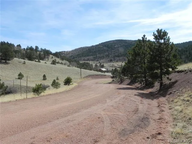 1058 Monarch Drive Cripple Creek, CO 80813