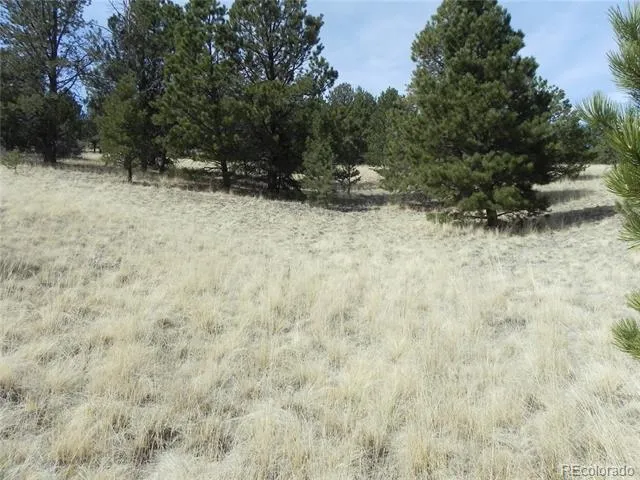 1058 Monarch Drive Cripple Creek, CO 80813