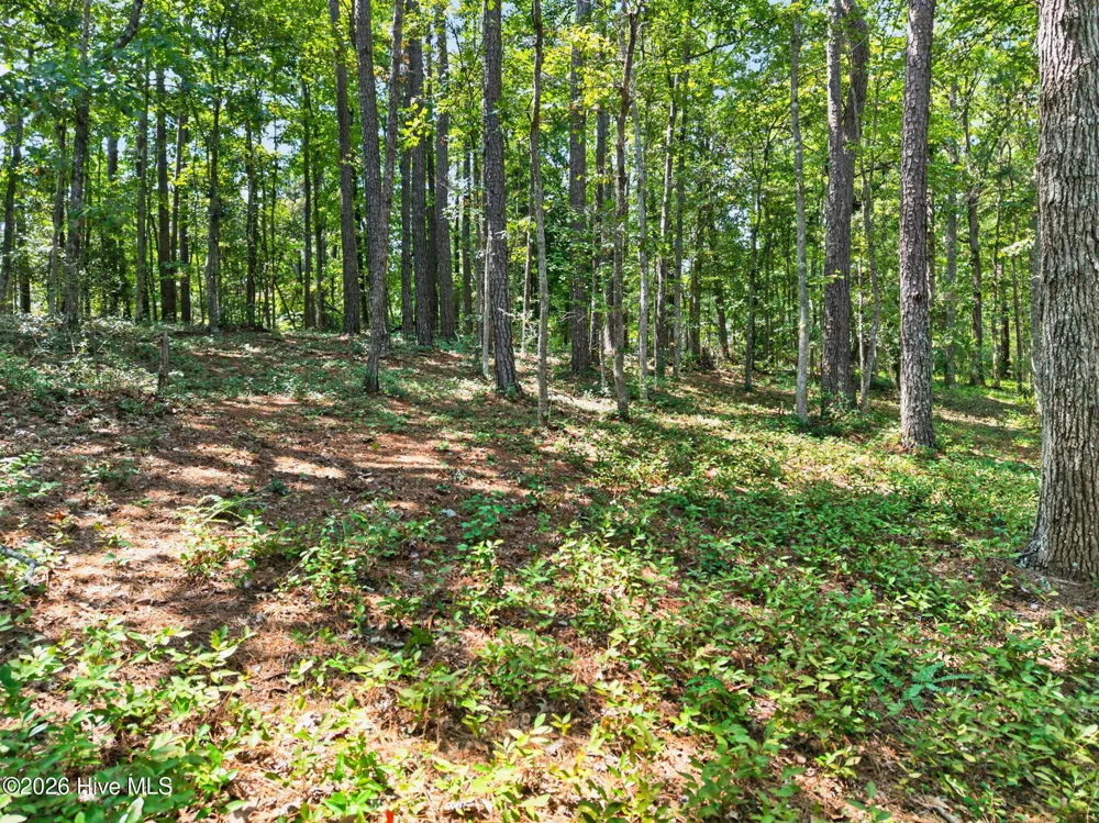 3075 Valderama Way SE Bolivia, NC 28422