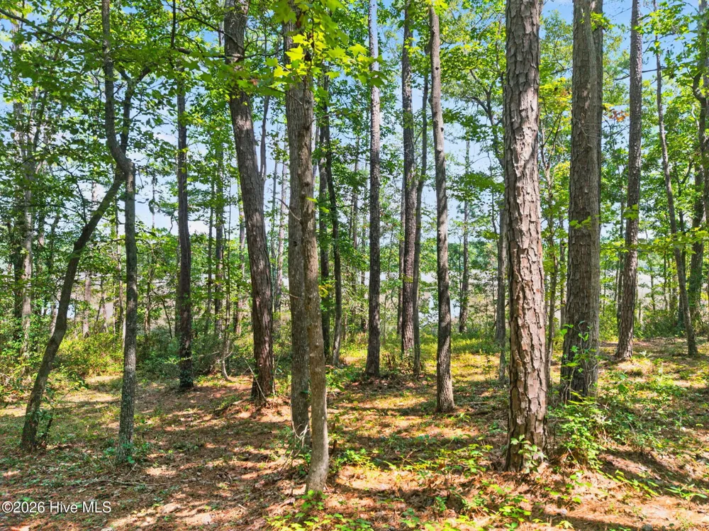 3075 Valderama Way SE Bolivia, NC 28422