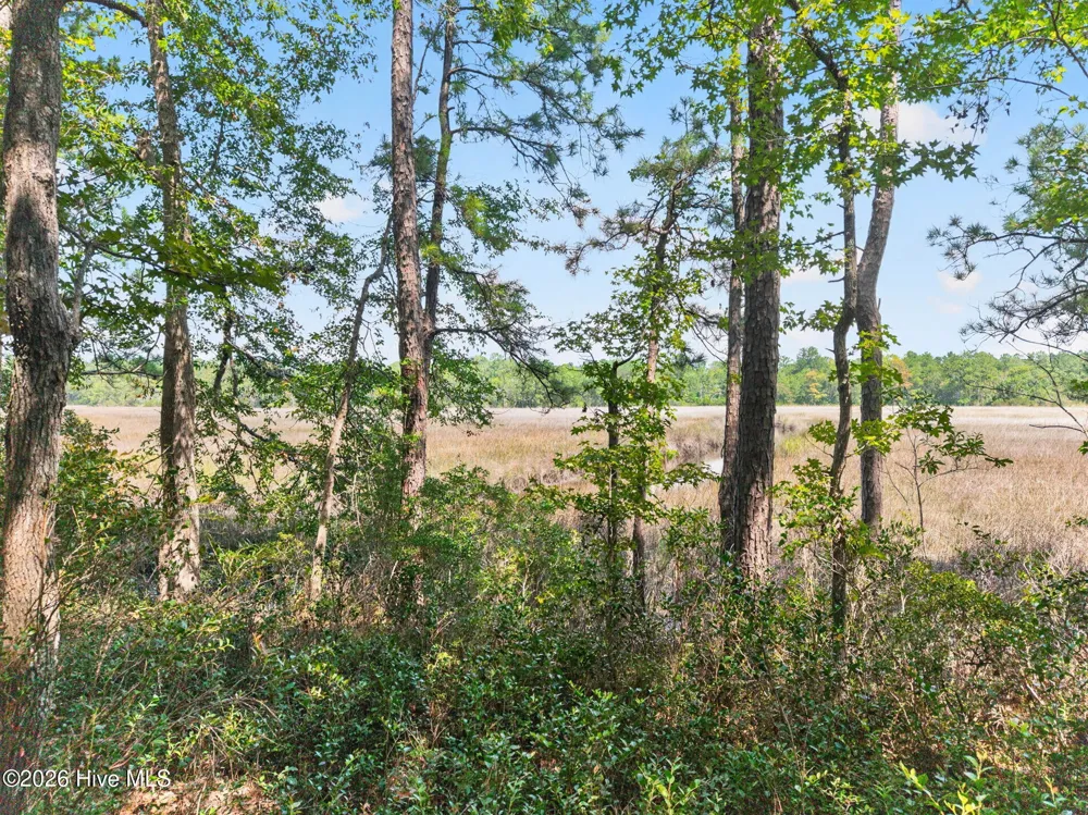 3075 Valderama Way SE Bolivia, NC 28422