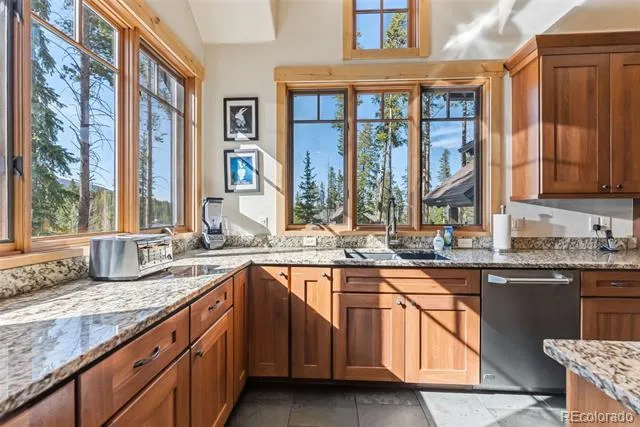 67 North Woods Lane Breckenridge, CO 80424