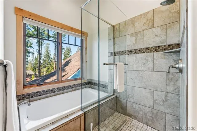 67 North Woods Lane Breckenridge, CO 80424