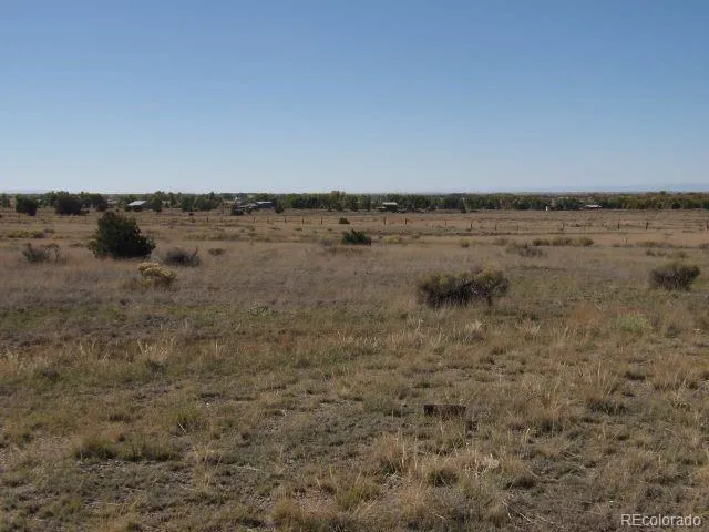 1474 Fawn Trail Crestone, CO 81131