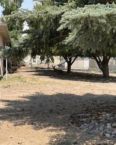 2 Wildwood Place Alamosa, CO 81101