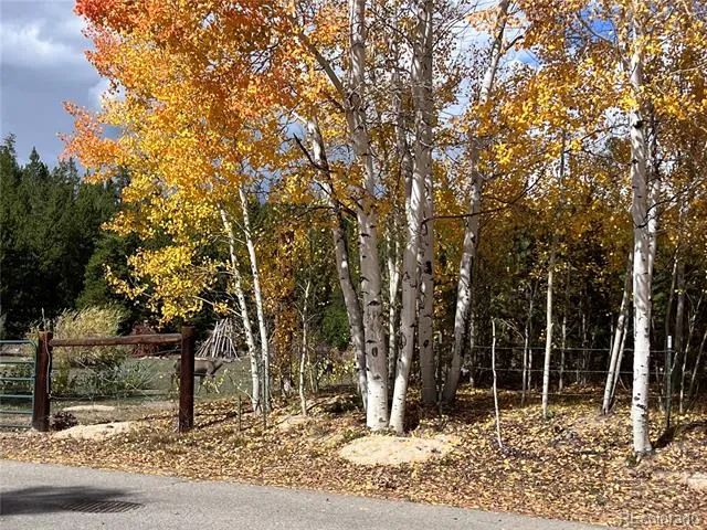 Address Not Shown Grand Lake, CO 80447