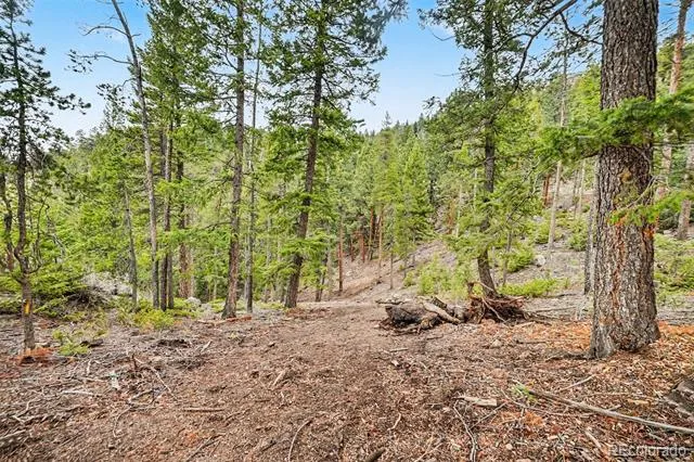 7141 Timber Trail Road Evergreen, CO 80439