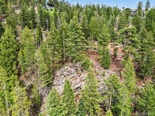 7141 Timber Trail Road Evergreen, CO 80439