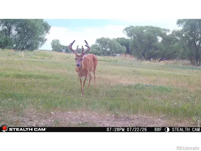 0 County Road 388 Kersey, CO 80644