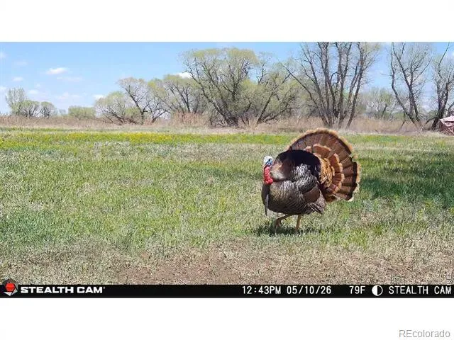 0 County Road 388 Kersey, CO 80644