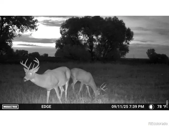 0 County Road 388 Kersey, CO 80644