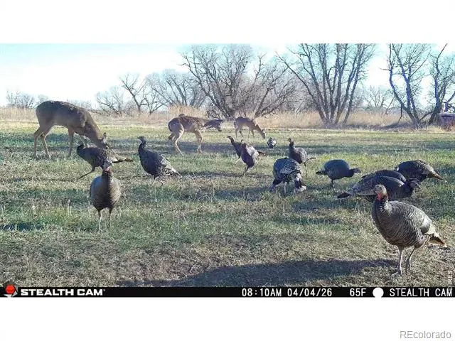 0 County Road 388 Kersey, CO 80644