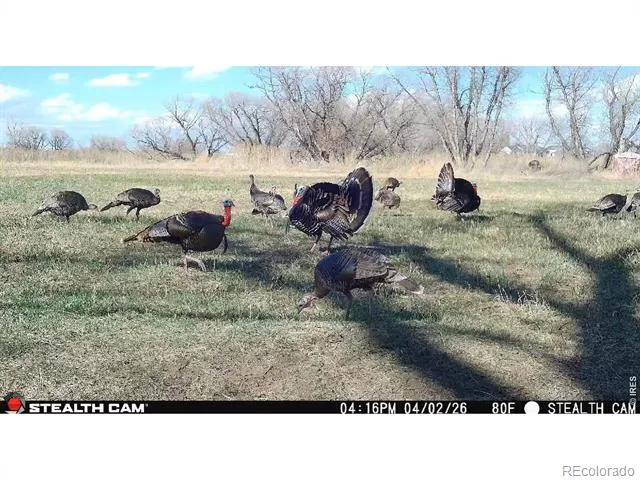 0 County Road 388 Kersey, CO 80644