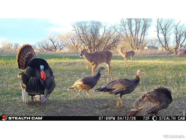 0 County Road 388 Kersey, CO 80644