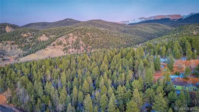 959 Calcite Drive Divide, CO 80814