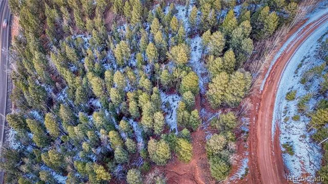 959 Calcite Drive Divide, CO 80814