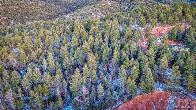 959 Calcite Drive Divide, CO 80814