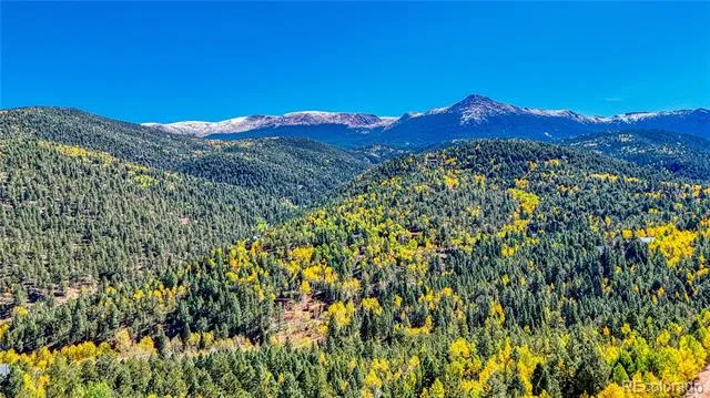 959 Calcite Drive Divide, CO 80814