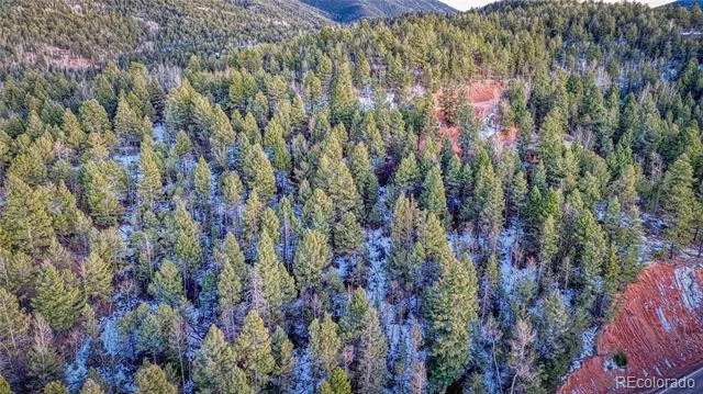 959 Calcite Drive Divide, CO 80814
